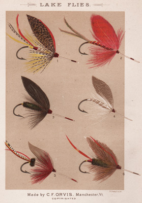 ANTIQUE PRINT OF FISHING FLIES FROM 1885